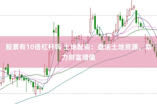 股票有10倍杠杆吗 土地配资：盘活土地资源，助力财富增值
