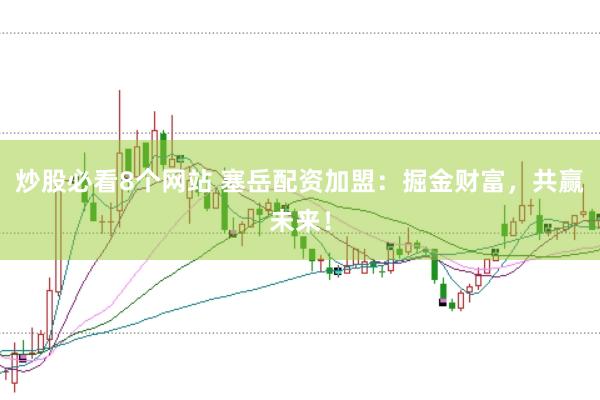 炒股必看8个网站 塞岳配资加盟：掘金财富，共赢未来！