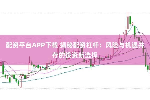 配资平台APP下载 揭秘配资杠杆：风险与机遇并存的投资新选择