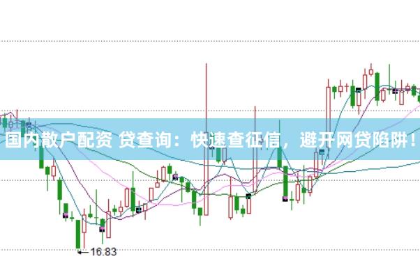 国内散户配资 贷查询：快速查征信，避开网贷陷阱！