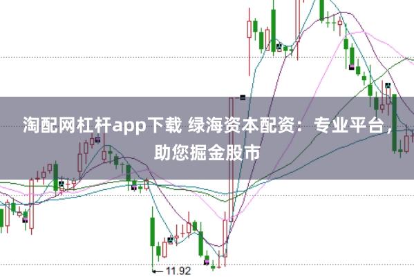 淘配网杠杆app下载 绿海资本配资：专业平台，助您掘金股市