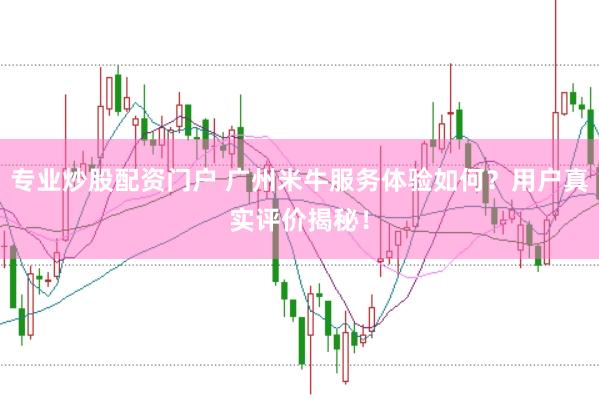 专业炒股配资门户 广州米牛服务体验如何？用户真实评价揭秘！