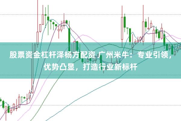 股票资金杠杆泽杨方配资 广州米牛：专业引领，优势凸显，打造行业新标杆