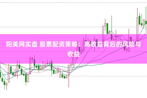阳美网实盘 股票配资策略：高收益背后的风险与收益