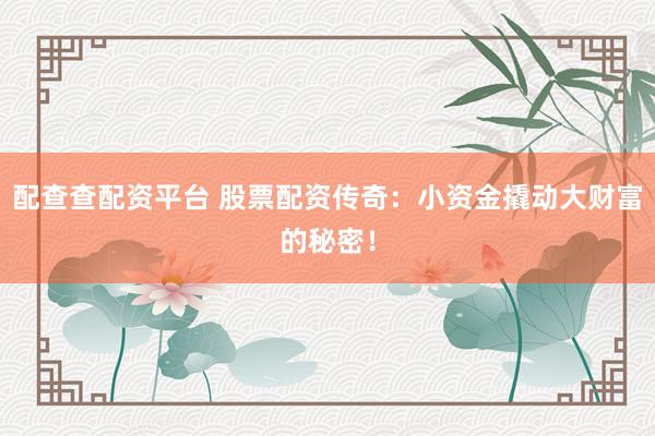 配查查配资平台 股票配资传奇：小资金撬动大财富的秘密！