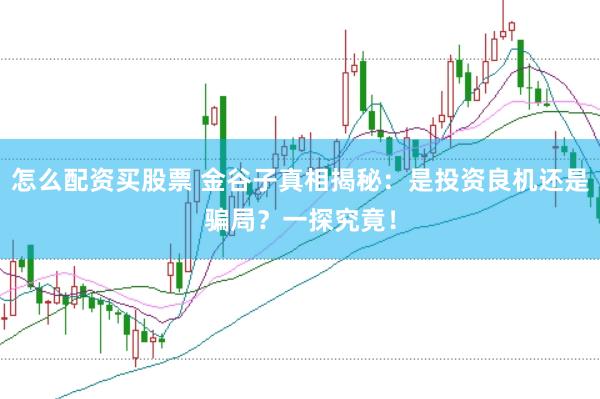 怎么配资买股票 金谷子真相揭秘：是投资良机还是骗局？一探究竟！