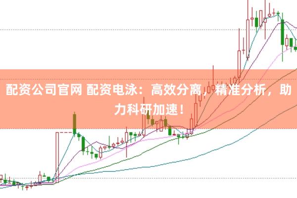配资公司官网 配资电泳：高效分离，精准分析，助力科研加速！