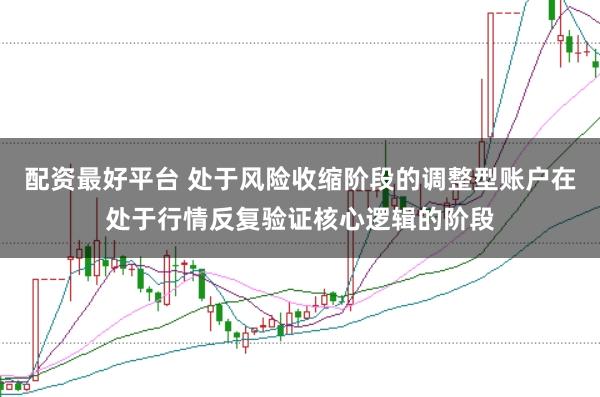 配资最好平台 处于风险收缩阶段的调整型账户在处于行情反复验证核心逻辑的阶段