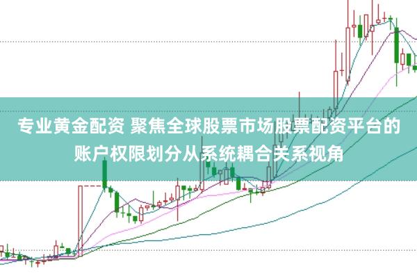 专业黄金配资 聚焦全球股票市场股票配资平台的账户权限划分从系统耦合关系视角