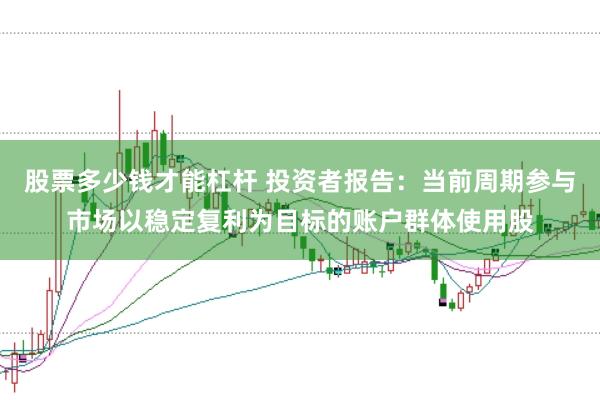 股票多少钱才能杠杆 投资者报告：当前周期参与市场以稳定复利为目标的账户群体使用股
