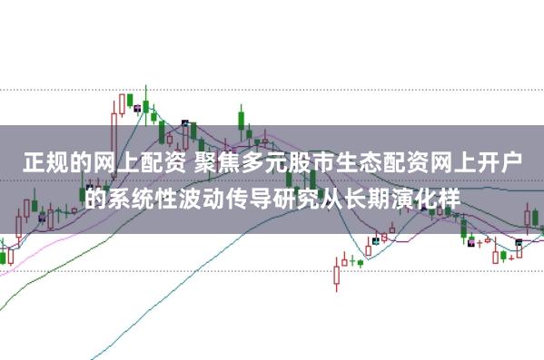 正规的网上配资 聚焦多元股市生态配资网上开户的系统性波动传导研究从长期演化样