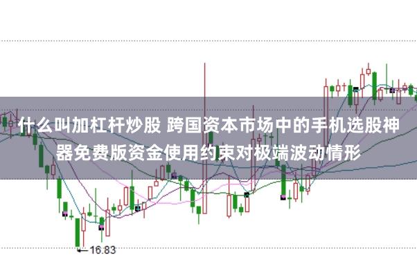 什么叫加杠杆炒股 跨国资本市场中的手机选股神器免费版资金使用约束对极端波动情形