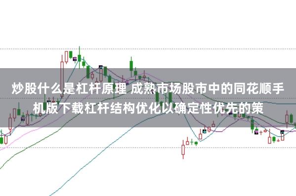 炒股什么是杠杆原理 成熟市场股市中的同花顺手机版下载杠杆结构优化以确定性优先的策