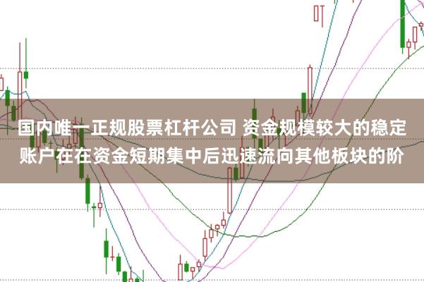国内唯一正规股票杠杆公司 资金规模较大的稳定账户在在资金短期集中后迅速流向其他板块的阶