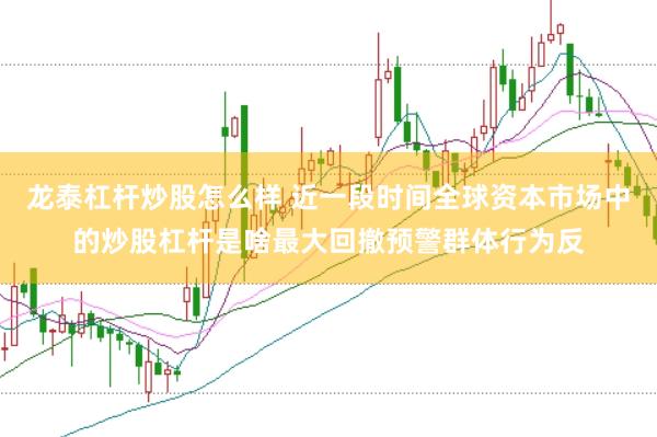 龙泰杠杆炒股怎么样 近一段时间全球资本市场中的炒股杠杆是啥最大回撤预警群体行为反