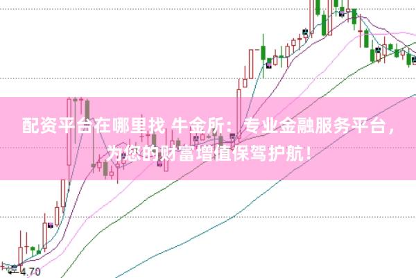 配资平台在哪里找 牛金所：专业金融服务平台，为您的财富增值保驾护航！