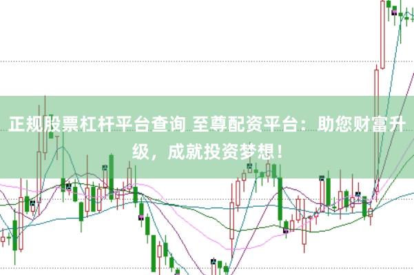 正规股票杠杆平台查询 至尊配资平台：助您财富升级，成就投资梦想！