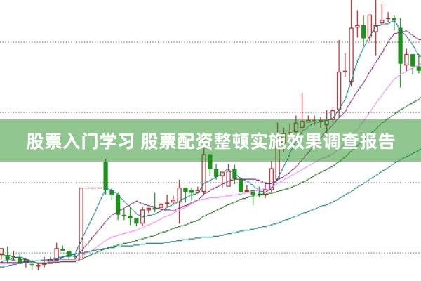 股票入门学习 股票配资整顿实施效果调查报告
