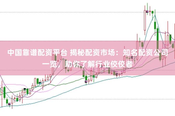 中国靠谱配资平台 揭秘配资市场：知名配资公司一览，助你了解行业佼佼者