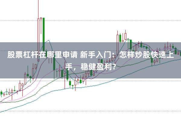 股票杠杆在哪里申请 新手入门：怎样炒股快速上手，稳健盈利？